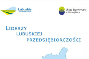 przechwytywanie_w_trybie_pelnoekranowym_10.06.2026_112004
